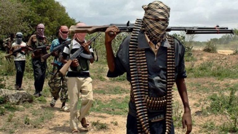 Gunmen assassinate APC spokesman in Plateau
