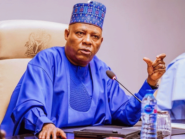 Shettima: Tinubu’s Administration Committed to South-east Transformation