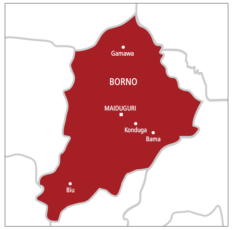 3 Killed As ISWAP Attacks Farmers In Borno, Steals 50 Bicycles